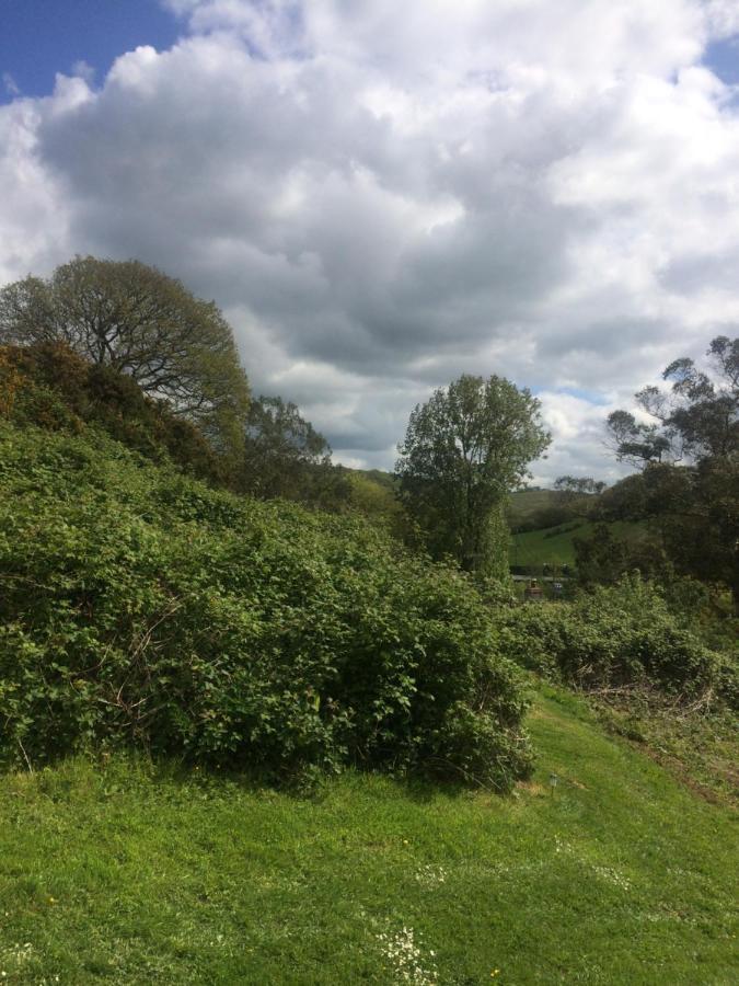Willow Valley Bude Buitenkant foto